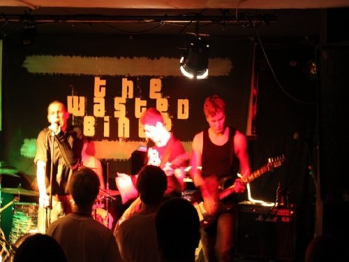 IMG_0290 [1024x768].resized.jpg